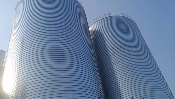 逊克2座混凝土高架卷板仓